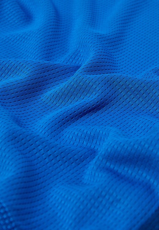 11010843_557_5.jpg