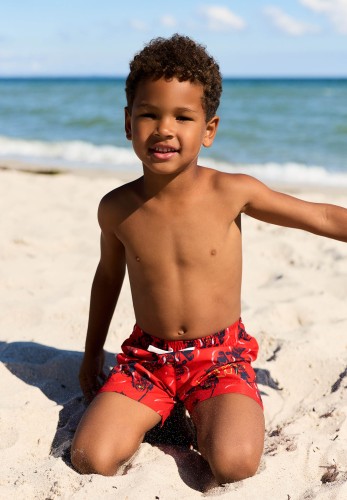 b2474860938f3b4b4616c113ce243e2f