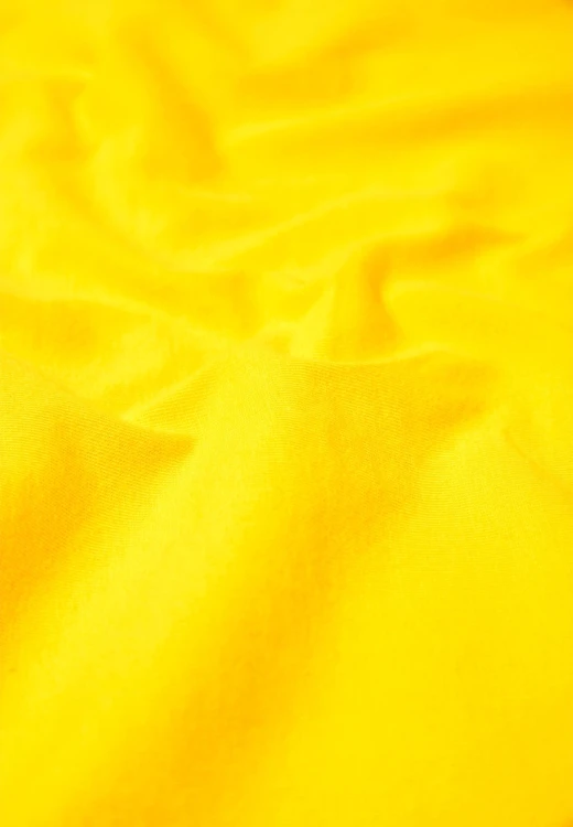 12011363_207_6