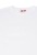 11011481_101_4