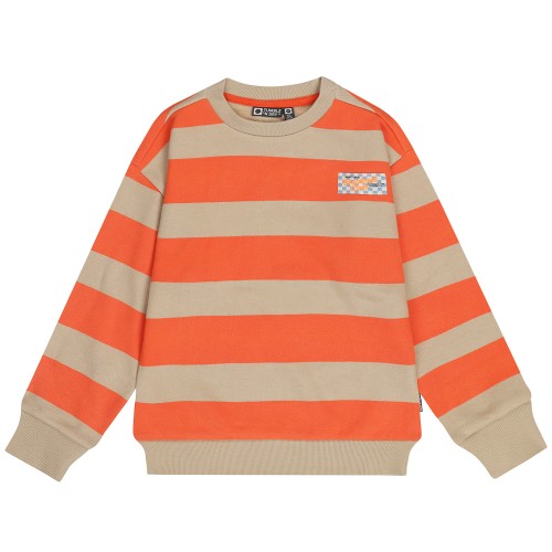 Bluza chłopięca Tumble'n Dry Beeston 84/22175/17728/28 - szara